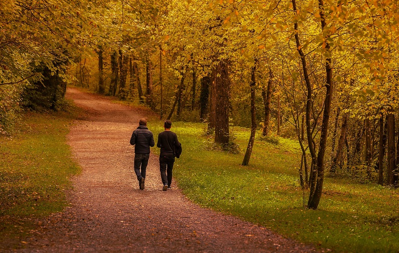 coaching im wald 800